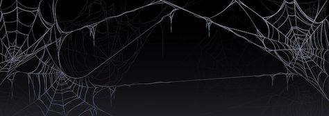 Reddit Cover Photo, Goth Banner Aesthetic, Spider Banner Discord, Spooky Banner Twitter, Spooky Banner Discord, Discord Halloween Banner, 2048 X 1152 Banner Youtube, Halloween Banner Aesthetic, Creepy Discord Banner