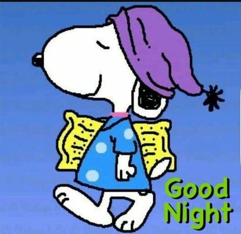 Snoopy Going To Bed snoopy good night pictures snoopy good night quotes Good Night Snoopy, Goodnight Snoopy, Snoopy Und Woodstock, Charlie Brown Y Snoopy, Snoopy Tattoo, Snoopy And Friends, Good Morning Snoopy, Woodstock Snoopy, Snoopy Birthday