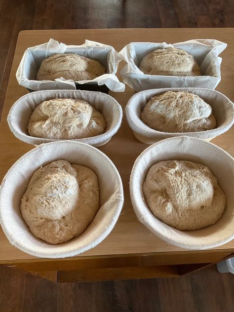 Large Batch Spelt Sourdough Bread - St. Joseph Homestead Spelt Sourdough Bread, Spelt Sourdough, Japanese Bread, Alkaline Vegan, Best Oven, Baking Stone, Sourdough Bread Recipe, Recipes Bread, Sourdough Recipes