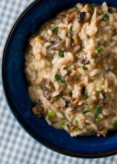 Morel Risotto Recipes, Recipes With Morel Mushrooms, Vegan Morel Mushroom Recipes, Tuscan Dishes, Appalachian Cooking, Morel Recipes, Morel Mushroom Recipes, Mushroom Risotto Recipes, Morel Mushrooms