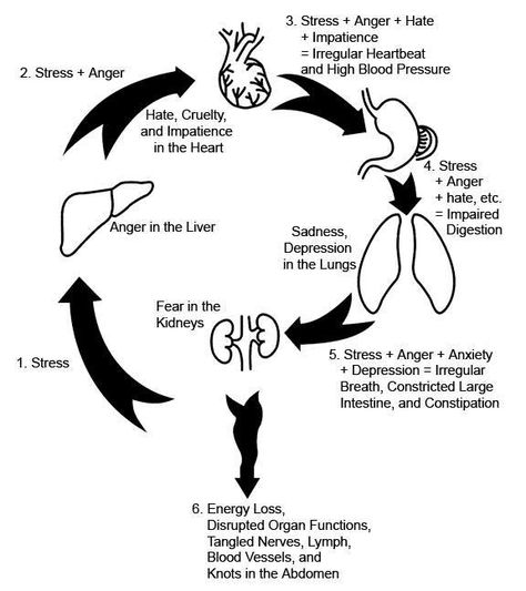 kidneys Chi Nei Tsang, Chi Flow, Massage Quotes, Body Map, Martial Arts Workout, Self Massage, Body Posture, Locally Grown, Energy Flow