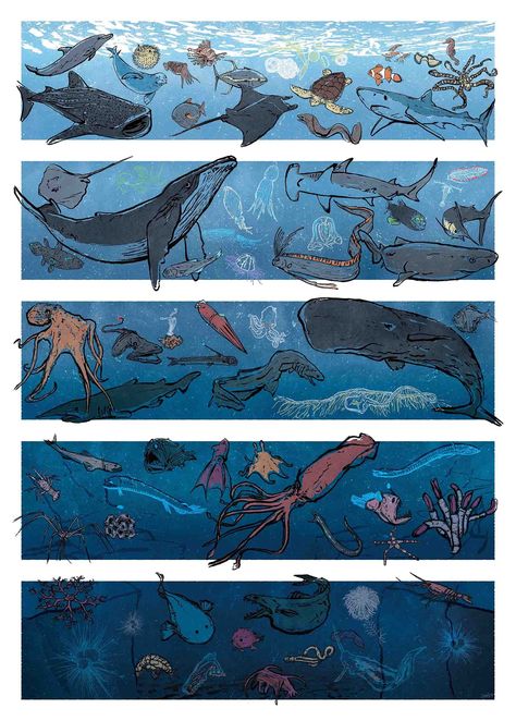 INTO THE BLUE POSTER Back after popular demand and in time for Christmas, this poster would make the perfect gift for a child's bedroom wall. Printed on 250gsm paper. £20 The artwork is a hand drawn illustration composition with digital colouring depicting the 5 ocean depth zones - Sunlight, Twilight, Midnight, Abyssal & The Trenches - and some of the fascinating life found in each. If you have any questions please feel free to contact me via email. Hope you like my work...look forward to hearin Illustration Composition, Digital Colouring, Zestaw Ikon, Ocean Depth, Shark Art, Into The Blue, Art Mignon, Seni Cat Air, Blue Poster