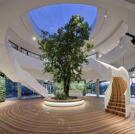 Plant Vines, Atrium Design, Galleries Architecture, Energy Efficient Buildings, Top Of The Stairs, Arch Interior, Lobby Design, Interior Stairs, House Inside