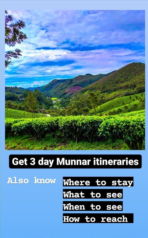 India Itenary, India Itinerary, Munnar Kerala, Udaipur Trip Itenary, Munnar Trip, Kerala Trip Plan, South India Travel Bucket Lists, Travel India Beautiful Places, India Vacation