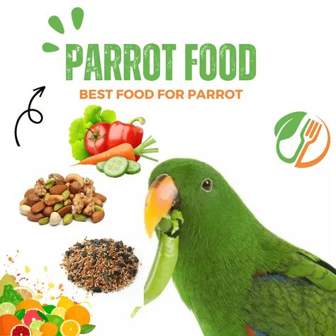 Parrot Diet, Parrot Food, Food And Nutrition, Colorful Birds, Diet Food, In The Wild, Food Recipe, Best Foods, Diet Recipes