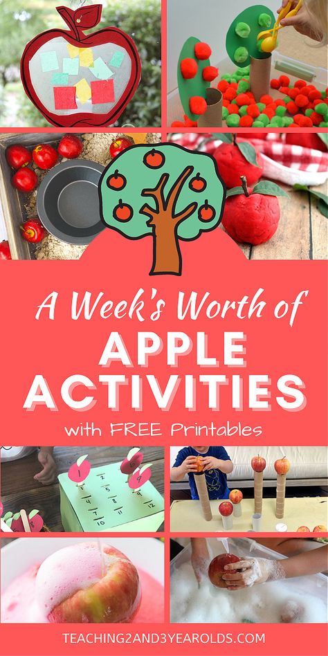 Apple Lesson Plans, Apple Theme Activities, Preschool Apple Activities, Preschool Apple Theme, September Preschool, Apple Lessons, Preschool Fall, Apple Preschool, Apple Unit