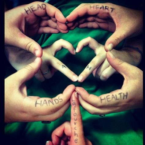 Creatively 4-H.......... LOVE THIS!!!!!!!!!!!! 4h Fair, 4 H Clover, 4 H Club, Hand Health, Fair Projects, Heart Hands, Ffa, Project Ideas, 4 H