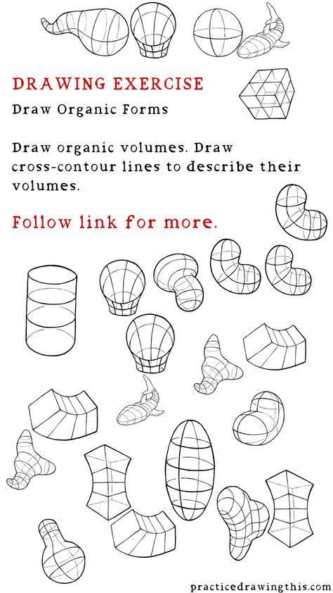 Drawing Exercises - Draw organic volumes. Draw cross-contour lines to describe their volumes. Basic Anatomy Drawing Tutorials, Drawing Fundamentals Lesson Plans, Perspective Exercises, Drawing Training, Shapes Drawing, Basic Anatomy, Drawing 101, Geometric Shapes Drawing, Basic Sketching