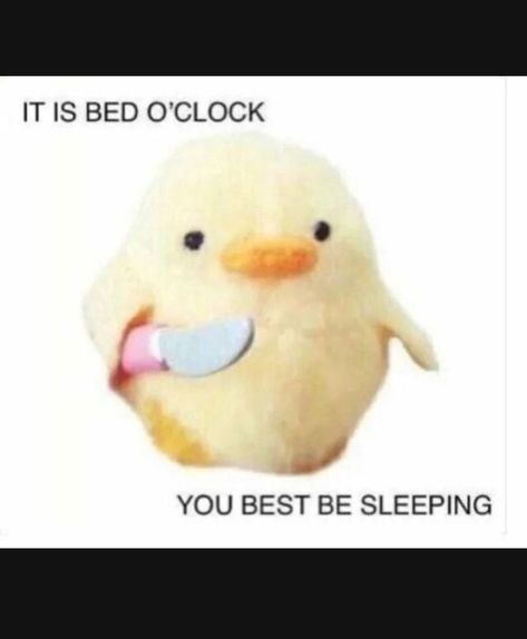 Angry Duck, Be Kind To Everyone, Sleepy Time, Rubber Duck, Jeon Jungkook, Jeon, Funny Memes, Lips, Books