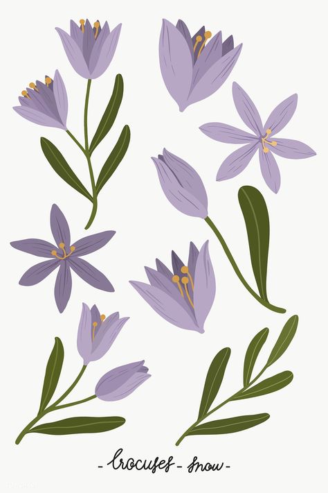 Crocus Flower Illustration, Iris Flowers Illustration, Crocus Doodle, Crocus Illustration, Flower App Icon, Deco Violet, Fairy Pattern, Purple Crocus, Watercolor Butterflies