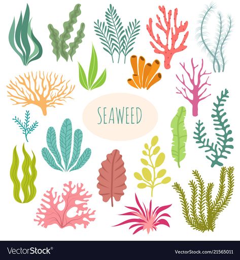 Underwater Cartoon, Ocean Plants, Inkscape Tutorials, Photos Black And White, Underwater Plants, Sea Plants, Coral Background, Aquatic Plant, Sea Life Art