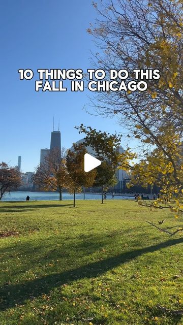 Renee Koontz on Instagram: "10 Chicago Fall Activities

1. @richardsonadventurefarm - opens on September 7th
2. @nightmareonclarkstreet - opens on September 20th
3. @thebrewed - horror movie themed coffee shop
4. @jackspumpkinpopup - opens on September 19th
5. Halloween decor around Lincoln Park & Gold Coast
6. @gatsbychicago - spooky speakeasy 
7. @octobercafechicago - fall coffee flights
8. @chicagoathletichotel - coziest work from home spot on the 2nd floor
9. @rudysramen_chicago - ideal fall meal
10. @southloopfarmersmarket - Saturday mornings 9am-1pm until October 26th

Stay tuned for more fall content to come (it’s my favorite season 👻)

#chicago #chicagogram #chicagofall #fall #thingstodoinchicago #chicagobucketlist" Spooky Speakeasy, Themed Coffee Shop, Coffee Flights, Chicago Bucket List, Chicago Fall, Lincoln Park Chicago, Fall Meal, My Kind Of Town, Fall Coffee