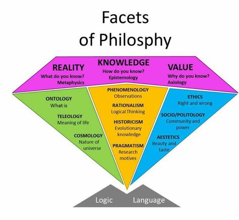 Philosophy Theories, Logic And Critical Thinking, School Of Philosophy, History Of Philosophy, Philosophy Of Science, Philosophy Books, Philosophical Quotes, Research Methods, Philosophy Quotes