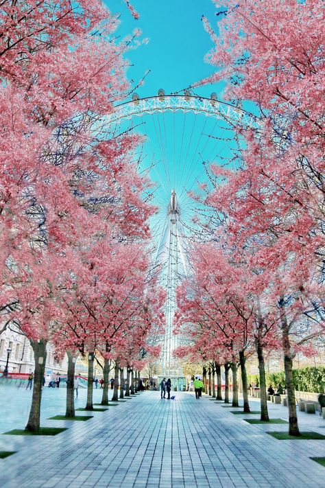 London England Photography, Cool Street Art, London Wallpaper, London Dreams, Arsitektur Masjid, The London Eye, Rough Trade, Ghost Signs, London Aesthetic