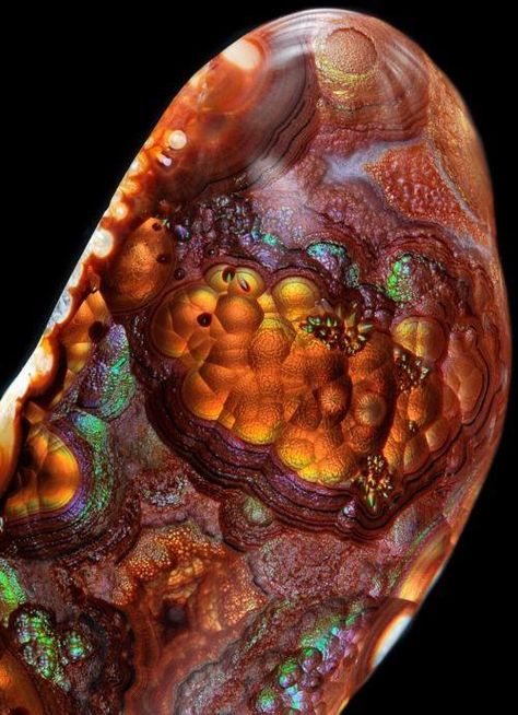 Fire Agate - DISCOVER LIFE'S PRECIOUS GEMS! Northern Mexico, Pretty Rocks, Beautiful Rocks, Fire Agate, Mineral Stone, Minerals And Gemstones, Rocks And Gems, Irises, Precious Gems