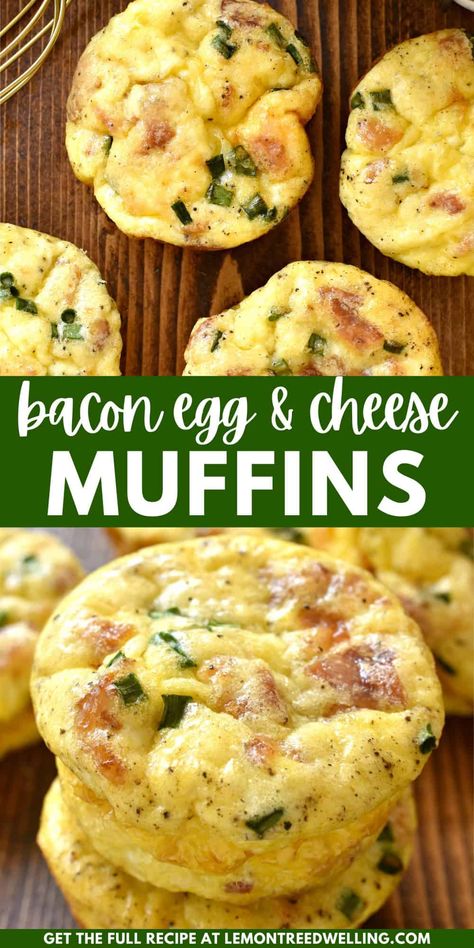 Egg Muffins are the perfect breakfast option for busy mornings. Loaded with all your breakfast favorites -like bacon, eggs, and cheese - they're simple, savory, and so delicious! Breakfast Ideas Egg Muffins, Breakfast Egg Bake Muffins, Savoury Egg Muffins, Frozen Egg Muffin Cups, Simple Breakfast Ideas On The Go, Egg Muffin Recipes For Breakfast, Egg Muffins Freezable, Egg Muffins With Bacon, Bacon Cheese Muffins Breakfast Recipes