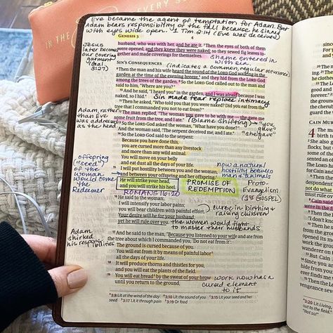 Genesis Chapter 3 Notes, The Good And Beautiful Bible Study, Genesis Chapter 3 Bible Journaling, Bible Study Aesthetic Genesis, Genesis 3 Bible Journaling, Bible Study Genesis, Legacy Bible, Job Bible Study, Bible Annotations