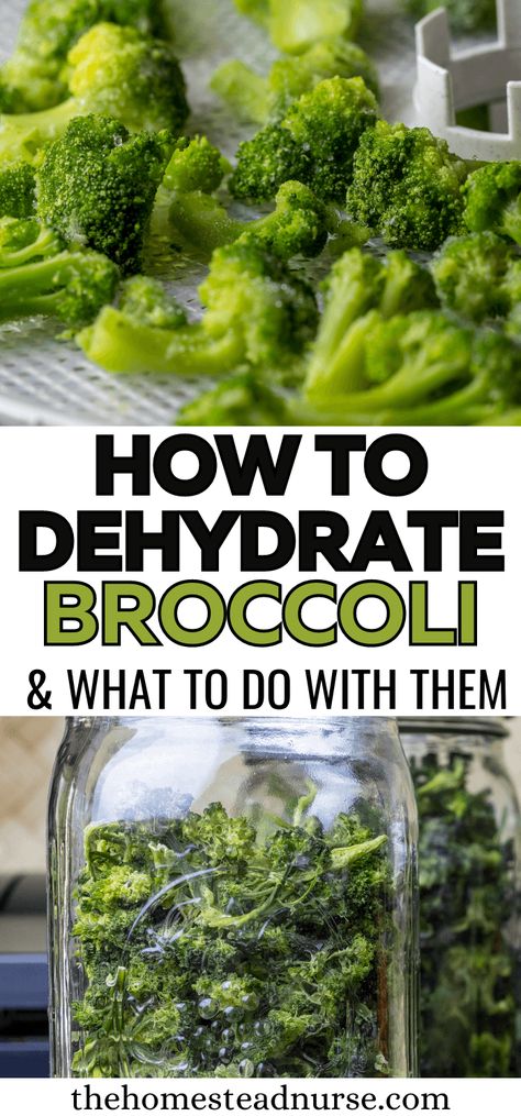 Learn how easy it is to dehydrate the whole broccoli plant and make it useful for your long-term storage, green powder, and everyday meals. Purposeful Pantry, Dehydrator Recipes Fruit, Best Food Dehydrator, Dehydrating Food Storage, Survival Food Storage, Food Dehydration, Food Prepping, Dehydrating Food, Dehydrated Vegetables