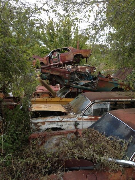 Junkyard Aesthetic, Chloe Price Aesthetic, Car Junkyard, Small Town Mystery, Zombie Apocalypse Outfit, Apocalypse Aesthetic, Chloe Price, Fallout New Vegas, Southern Gothic