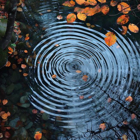 "\"Autumnal Echoes\" is a captivating digital print that harmonizes the tranquil beauty of nature's ripples with the rustic charm of fall. This square-format artwork features a serene pond surface, where each ripple tells the tale of a fallen leaf and the changing seasons. 🍁 Reflective Beauty: The perfect blend of motion and stillness, this print captures the enchanting dance of water and light, inviting contemplation and calm into your space. 🌟 Poetic Interpretation: Inspired by the poetry of nature, the art print serves as a metaphor for the ripples we create in the world, seen and unseen. 🖼️ Square Sophistication: Exclusively available in a square format, this print complements any room seeking a touch of nature's meditative essence. 📥 Instantly Accessible: Upon purchase, receive a Body And Nature Art, Nature Photography Leaves, Value Photography Element, Cool Art Reference Photos Nature, Contrast In Nature, Art References Photography Landscape, Light As The Subject Photography, Cool Nature Photography, Swirls In Nature