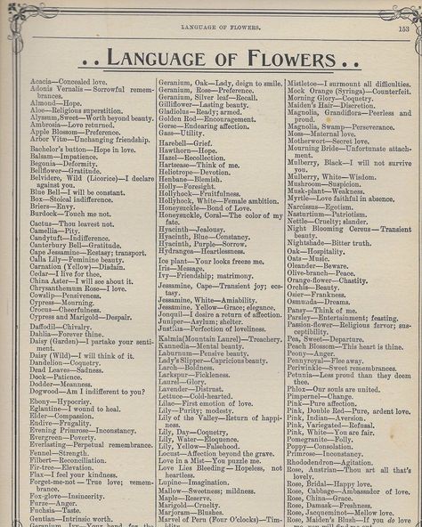 The Language of Flowers [free vintage printables] Menulis Novel, The Language Of Flowers, Free Vintage Printables, Flower Meanings, Language Of Flowers, Book Writing Tips, Vintage Printables, Types Of Flowers, Book Of Shadows