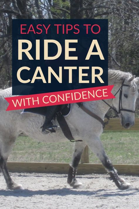 tips for learning to ride a cantering horse, and the trot to canter transition, with confidence Learning To Ride A Horse, Cantering Horse Tips, How To Canter Horse, How To Sit The Canter Horse, Horse Riding Tips Western, Horse Riding Tips English, Cantering Horse, Horse Cantering, How To Ride A Horse