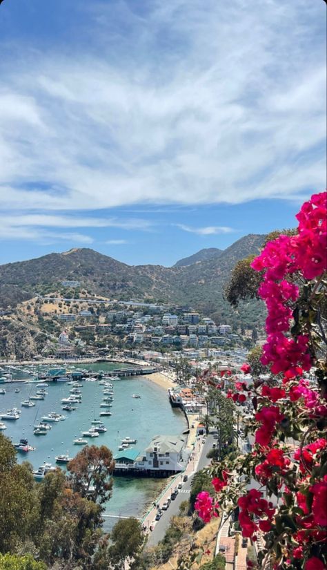 Catalina California, West Coast Travel, Santa Catalina Island, Good Day Sunshine, Travel Inspiration Destinations, Catalina Island, Island Getaway, Dream City, Summer Dream