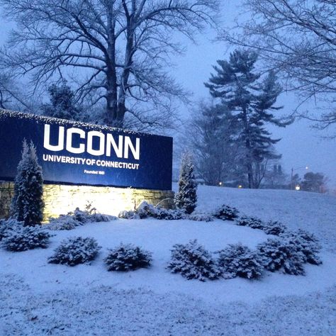 Uconn in the winter Uconn Aesthetic Campus, University Of Connecticut Aesthetic, Uconn Campus, Uconn Dorm, Uconn Aesthetic, Connecticut Aesthetic, Uconn Basketball, Dream Collage, College List