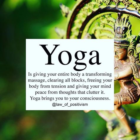 ❤️ this yoga quite Yoga Humor, Yoga Wisdom, Yoga Thoughts, Yoga Themes, Yoga Journey, Yoga Inspiration Quotes, Yoga Video, Sup Yoga, Yoga Philosophy