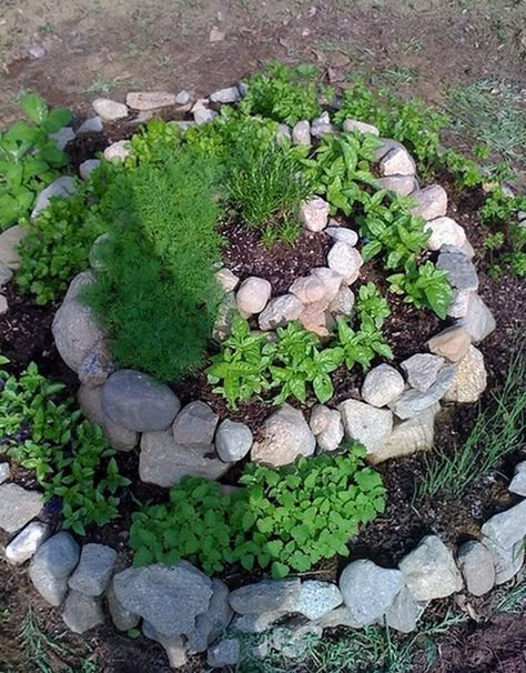 Make Your Own Wonderful DIY Spiral Herb Garden - The Owner-Builder Network Herb Rock Garden, Spiral Garden Bed Ideas, Herbal Spiral Garden, Spiral Flower Bed, Spiral Herb Garden Ideas, Spiral Garden Design, Round Garden Design, Herbal Garden Ideas, Spiral Gardens