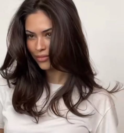 Dark Brunette Hair, Brown Hair Looks, Brown Hair Inspo, Layered Haircuts For Medium Hair, Hairstyles For Layered Hair, Blowout Hair, Haircuts For Medium Hair, Haircuts Straight Hair, Haircuts For Long Hair