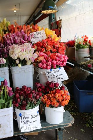 Flower Therapy, Flower Farm, Flower Market, Love Flowers, Flower Shop, My Flower, Pretty Flowers, Fresh Flowers, Flower Power