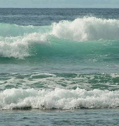 Gentile sounds of waves crashing on Siesta Key Beach Tiger Oil Painting, Modern Painters, Tropical Beach Resorts, Canvas Abstract Painting, Siesta Key Beach, Surfing Pictures, Waves Ocean, Waves Crashing, Vintage Surf