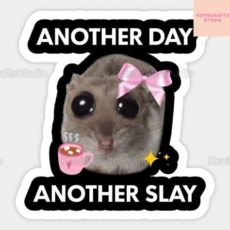 Sad Hamster Viral Stickers, Another Day Another Slay Laptop Stickers, Sad Hamster Meme Car Decal, Sad Hamster Trending Car Stickers - These stickers are made of high-quality vinyl that perfect for your cars or any smooth surface, also easy to peel off. - The printed image is clear to ensure no color is faded, associated with the transparent background. - Wide range of applications, family stickers for car windows can be used on any smooth surface such as cars, laptops, doors, windows, large wate Hamster Memes, Memes Stickers, Another Day Another Slay, Hamster Meme, Stickers For Car, Family Stickers, Funny Pix, Car Inspiration, Dark Anime