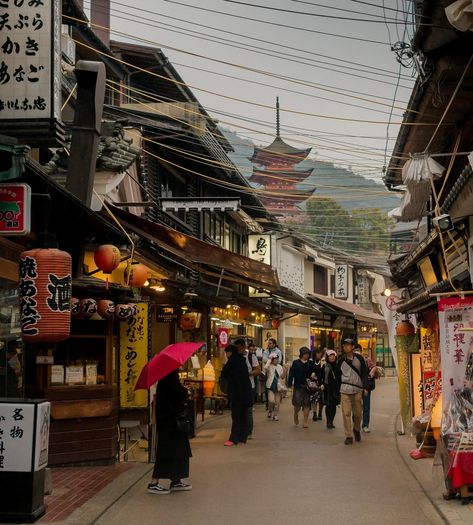 A Guide to Visiting Hiroshima and Miyajima Island - Tales of Two Hiroshima Aesthetic, Hiroshima Travel, Tohoku Japan, Korean Lifestyle, Tori Gate, Miyajima Island, Japan Vibes, Japan Core, Hiroshima Peace Memorial