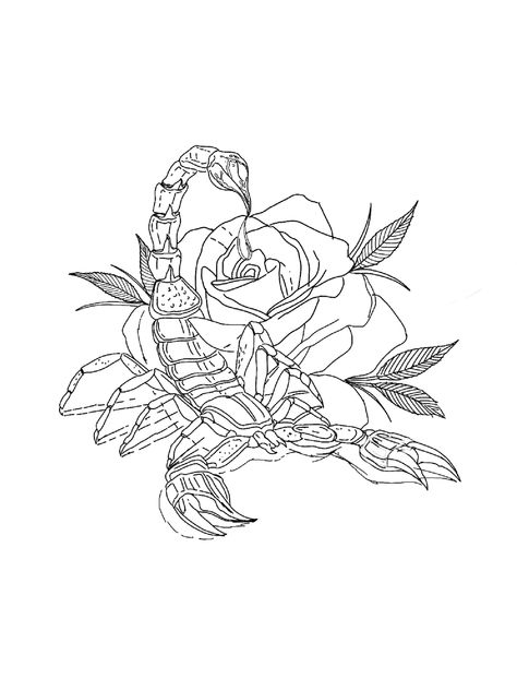 Scorpion Floral Tattoo Design, Scorpion With Flowers Tattoo, Scorpion Flower Tattoo, Scorpion Rose Tattoo, Hand Guide, Scorpio Zodiac Tattoos, Army Tattoos, Shiva Tattoo Design, Scorpion Tattoo