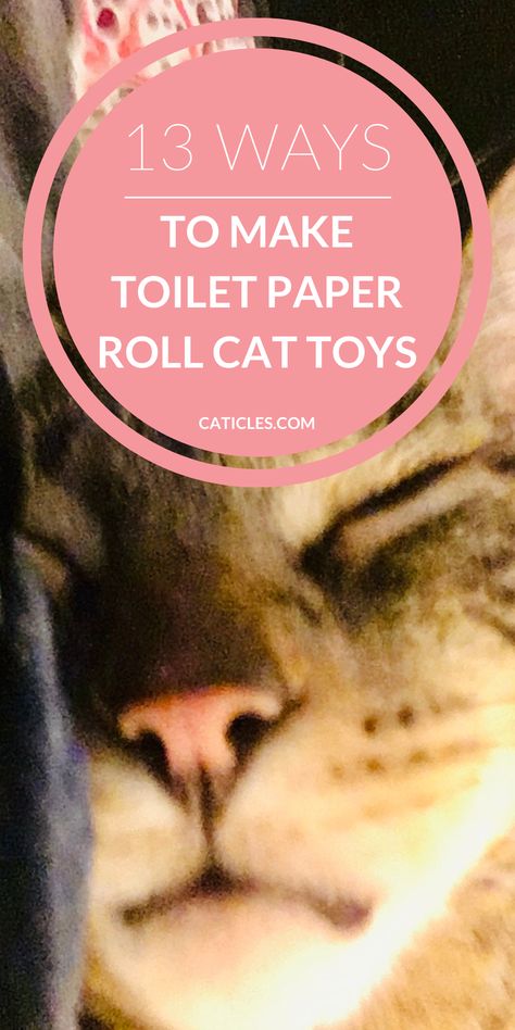 Want to make fun toys your cat will love? Check out this tutorial for easy diy toilet paper roll cat toys. Cats absolutely love cardboard and will always love boxes and toilet paper roll toys. Get your cat to play with these simple toys you can make today! See how you can get creative and use toys differently when your cat gets bored. You'll also get tips on how to play with your cat, how to make different cat toys. Playing with your cat is great for bonding and indoor enrichment. Get playing! Cat Gifts Diy, Cat Trees Homemade, Ferrets Care, Cat Life Hacks, Diy Toilet Paper, Homemade Cat Toys, Cat Patio, Diy Cat Toys, Cat Exercise