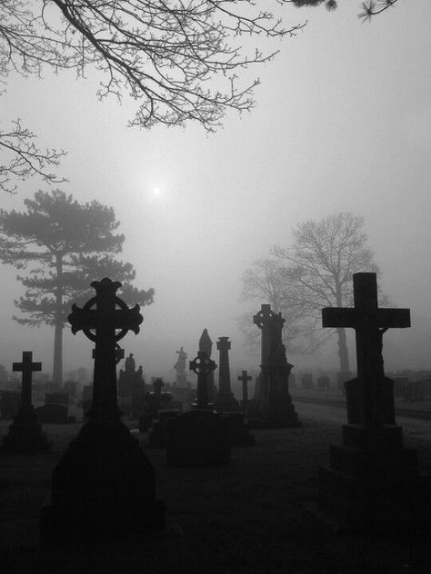 Foggy Day, Spooky Places, Old Cemeteries, Cemetery Art, 다크 판타지, Gothic Aesthetic, Airbrush Art, The Fog, Dark Photography