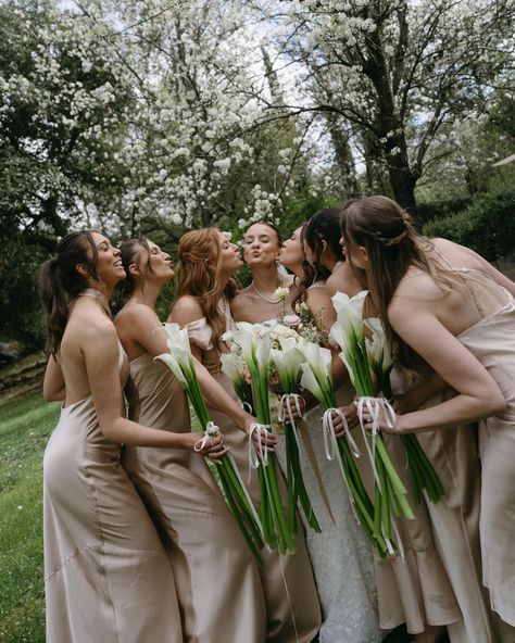 So, are we all equally in love with these long stem bouquets? I’ve already posted the second picture in a carousel but I wanted to give it another moment. The bride’s sister in law did a fabulous job with the personals & they ended up absolutely breathtaking. Simplistic but impactful - we love 🕊️ Photography: @skyandsavvyphoto Planning: @adrnevents Bouquet & Ceremony: @floraebyalana Bridesmaid bouquets: Montana Carr Venue: @milagrowinery Videographer: @baker4a Beauty: @blushbymmarie DJ:... Long Stemmed Bouquet, One Flower Bridesmaid, Bridesmaid No Flowers, Bridesmaid Single Rose, Long Stem Bridesmaid Bouquet, Long Stem Bridal Bouquet, Single Flower Bridesmaid Bouquet, Bridesmaid Flower Bouquets, Sister Wedding Pictures