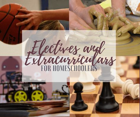 There are tons of electives that are sure to get your homeschooler excited about learning something new. Use our homeschool electives list to get ideas! Elementary Electives, Homeschool Electives Elementary, Middle School Elective Ideas, Middle School Electives, Homeschool Electives, Homeschool Transcripts, High School Transcript, Homeschool Education, Family Learning