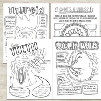 Health Science and Biology Coloring Page Series! by Spunky Science Biology Coloring Pages, Biology Teaching Ideas, Health Science Projects, September Homeschool, Homeschool Workbooks, Anatomy Coloring Pages, Health Science Classroom, Science Coloring Pages, Vet Science