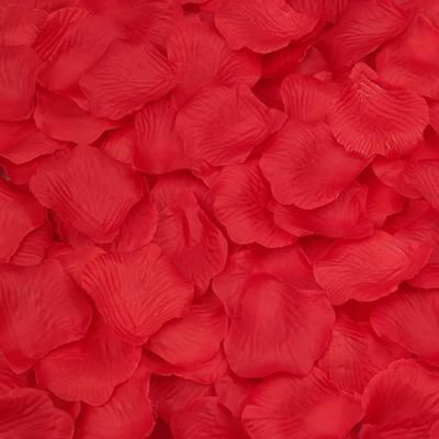 Wholesale Flower - Buy Flowers Decor Party Decorations Silk Flowers Artificiarose Petals Red For Wedding, $0.01 | DHgate Flower Bridal Shower Favors, Beach Theme Garden, Flower Petals Wedding, Fairytale Theme, Theme Garden, Rose Petals Wedding, Silk Rose Petals, Bridal Shower Flowers, Wedding Petals