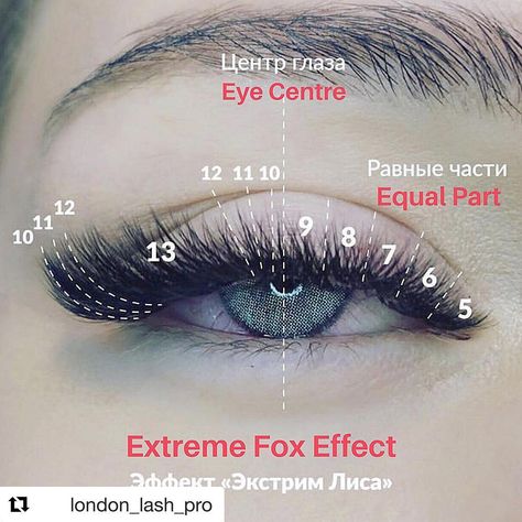 Babillashes_Allen on Instagram: “#Repost @london_lash_pro with @get_repost ・・・ 🔥🔥🔥 We LOVE this mapping for an extreme fox effect lash look by @tashuta_t 🤩🤩🤩 Fox effect…” Eyelash Extensions Salons, Applying False Eyelashes, Cat Eye Lash, Eyelash Extensions Styles, Lash Extensions Styles, Lash Business, Lucet, Robert Kardashian, Eyelash Extentions