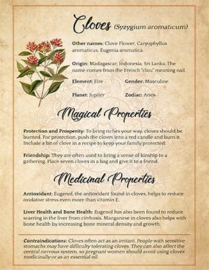 Cloves Magickal Properties, Wicca Herbs, Witchcraft Herbs, Magickal Herbs, Witch Herbs, Green Witchcraft, Wiccan Magic, Magic Herbs, Grimoire Book