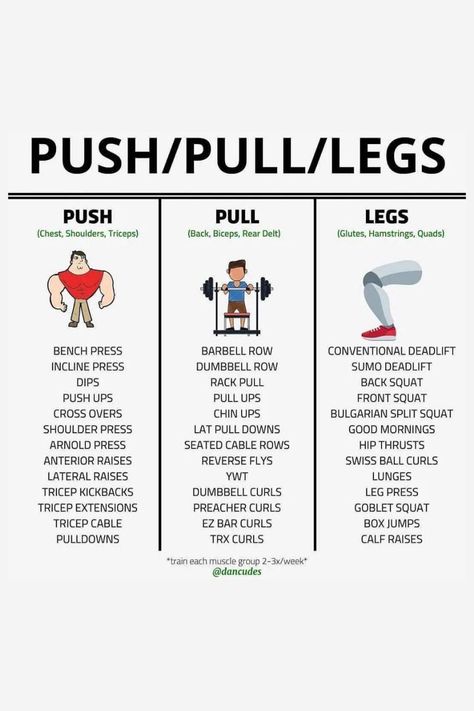 You can add some of theses exercises to your next push/pull/legs workout day that could be helpful! Push Gym Exercises, Push Legs Pull, Full Pull Day Workout, Push And Pull Day Workout, Push Days Workout, Push Upper Body Workout At Gym, Push Day Leg Workout, Push Pull Exercises, Legs Push Pull Routine