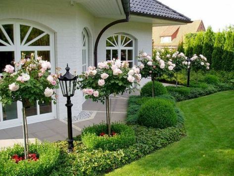 47 Amazing Rose Garden Ideas on This Year - Matchness.com Tanaman Sukulen, Beautiful Gardens Landscape, Side Yard Landscaping, Front Garden Landscape, Front Yard Design, Desain Lanskap, Front Landscaping, Have Inspiration, Landscape Plans