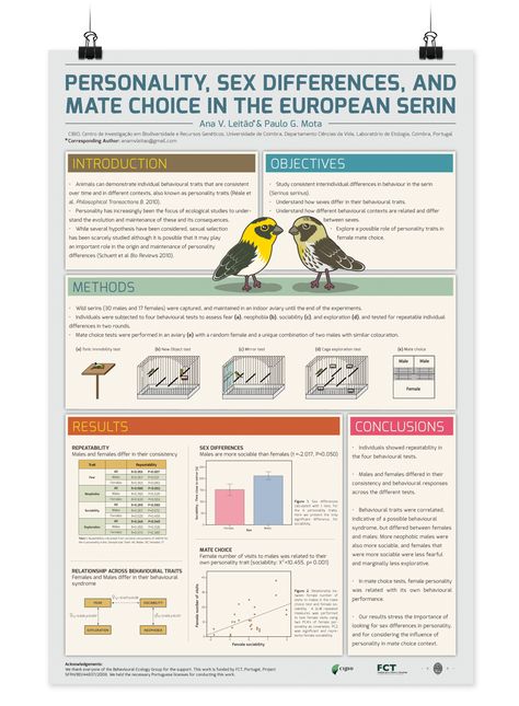 Design scientific research posters.                              … Medical Research Poster, Powerpoint Poster Template, Powerpoint Poster, Scientific Poster Design, Academic Poster, Layout Print, Medical Poster, Science Posters, Poster Presentation