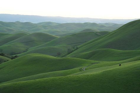 Green Hills Aesthetic, Rolling Hills Landscape, Hills Aesthetic, Hills Landscape, Green Hills, Rolling Hills, Laptop Wallpaper, The Hills, Nature Aesthetic