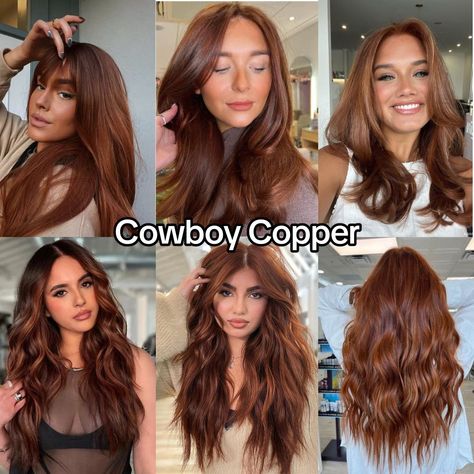 Brunette Turned Redhead, Ginger Highlights In Black Hair, Ginger Copper Hair, Cowboy Copper Hair, Cowboy Copper, Brown Hair Looks, Brown Hair Inspo, Ginger Hair Color, Copper Hair Color