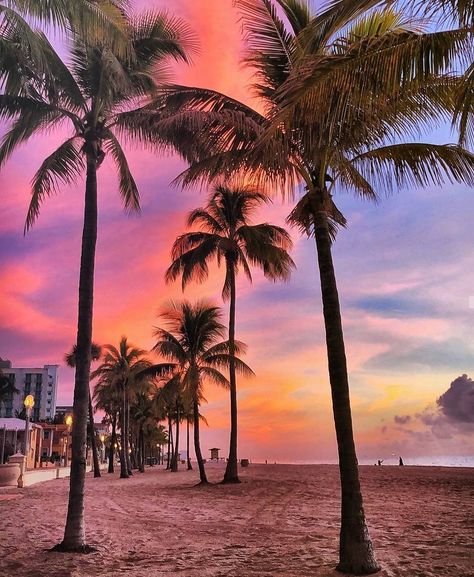 Stay Salty Florida™ on Instagram: “Morning glow from Hollywood Beach, FL☀️R🌴DA . .  Photo Cred @jackie.inspires  #staysaltyflorida #staysalty #florida #floridalife…” Hollywood Beach Broadwalk, Hollywood Beach Florida, Stay Salty, Hollywood Beach, Summer 3, Panama City Beach, Sunshine State, 2024 Vision, Pink Summer